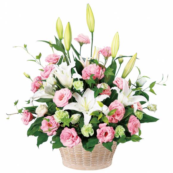 花キューピット加盟店 店舗名：花のたかはし
フラワーギフト商品番号：511149
商品名：アレンジメント