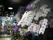 「花のたかはし」　（宮崎県日向市）の花屋店舗写真1